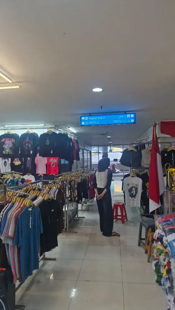 Dicari Tukang Gosok Laundry