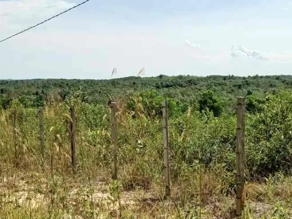 tanah jual kilo 23 8.4 ha murah!!!