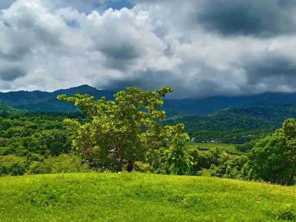 9350 M2 FREEHOLD LAND FOR SALE IN PANGKUNG PARUK SERIRIT BULELENG NORTH BALI