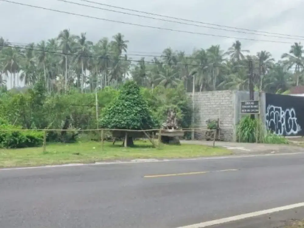 Lahan Investasi Emas: Kavling Strategis 2.800 m² di Jalur Utama Denpasar–Gilimanuk (Hanya 150m ke Pantai!)