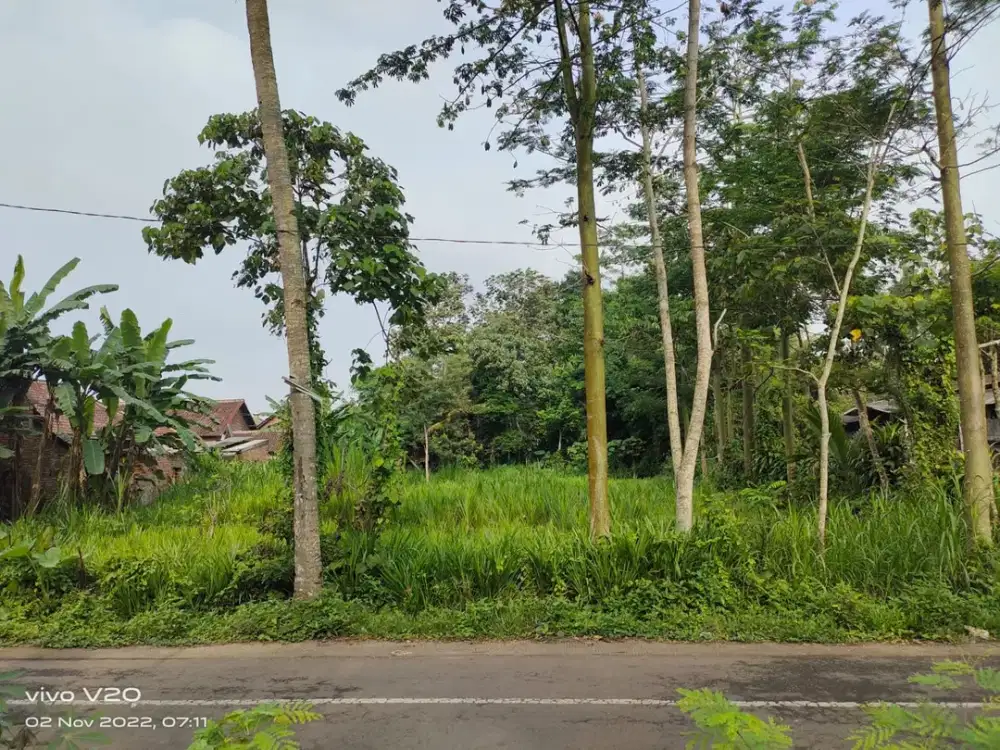 Tanah Strategis Pakis Malang. Dekat Exit Tol Malang, Bandara Abdul Rachman Saleh, Velodrome Malang, dan akses utama Jalan Raya Pakis.MLG00126