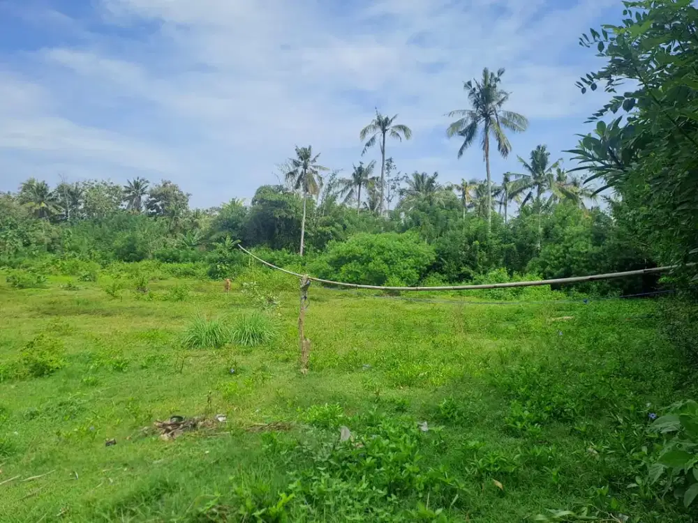 Lahan Istimewa & Prospektif: Tanah Luas 9.725 m² dengan View Gunung & Akses Strategis Denpasar–Gilimanuk