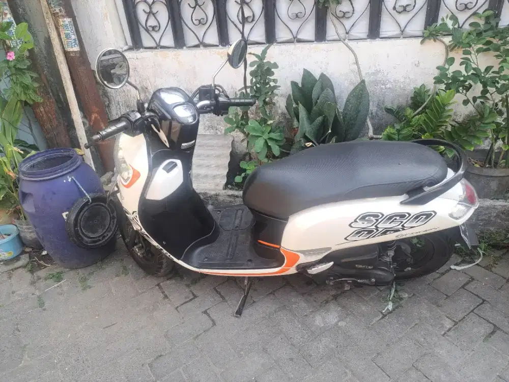 Scoopy sporty 2017