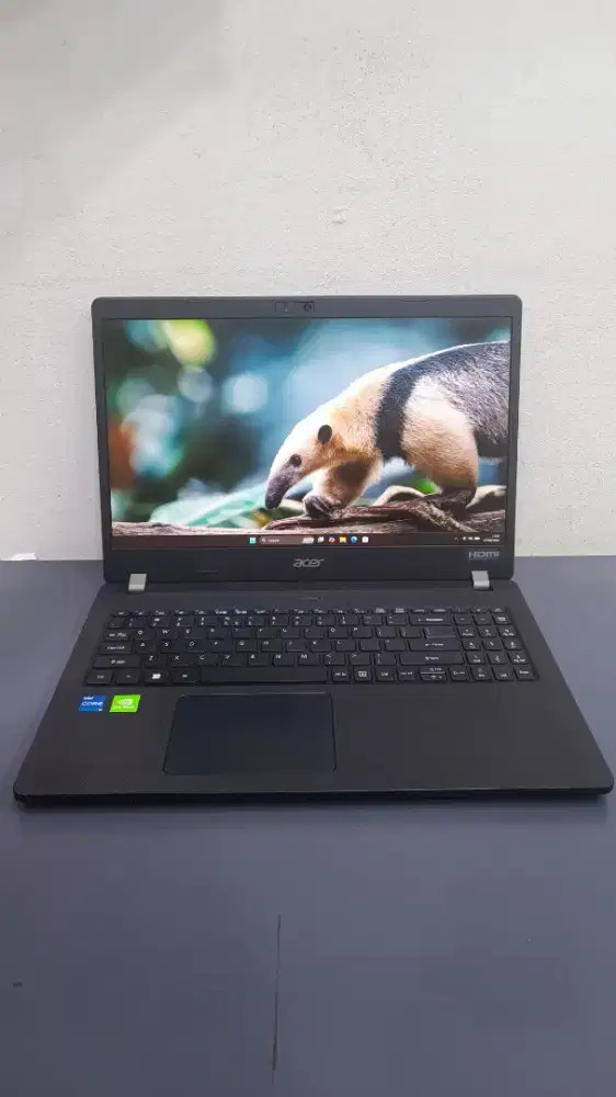 Acer travelmate P215