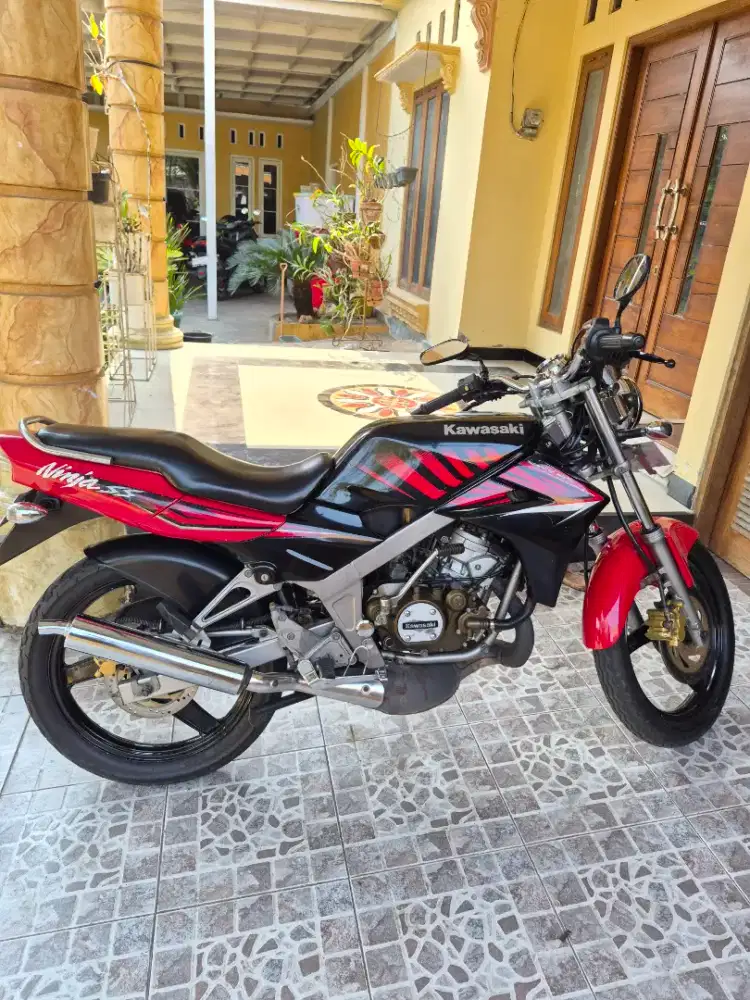 Ninja SS Zebra 2014
