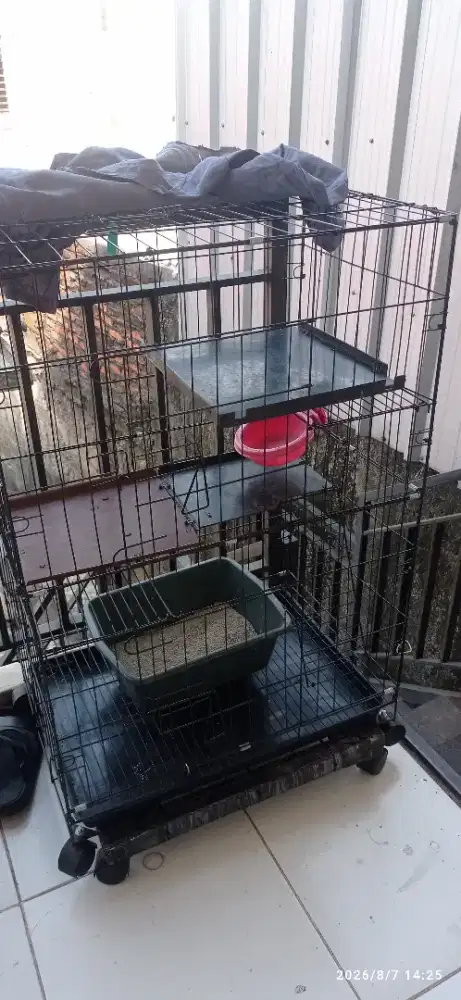 Kandang kucing masih bagus