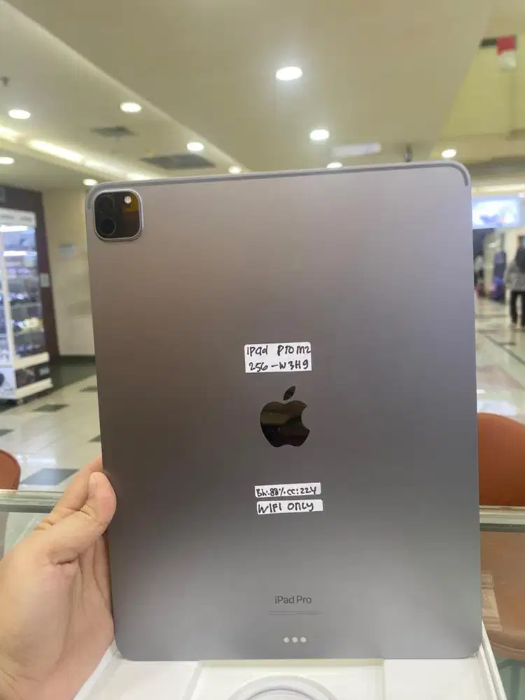 Ipad pro m2 256gb