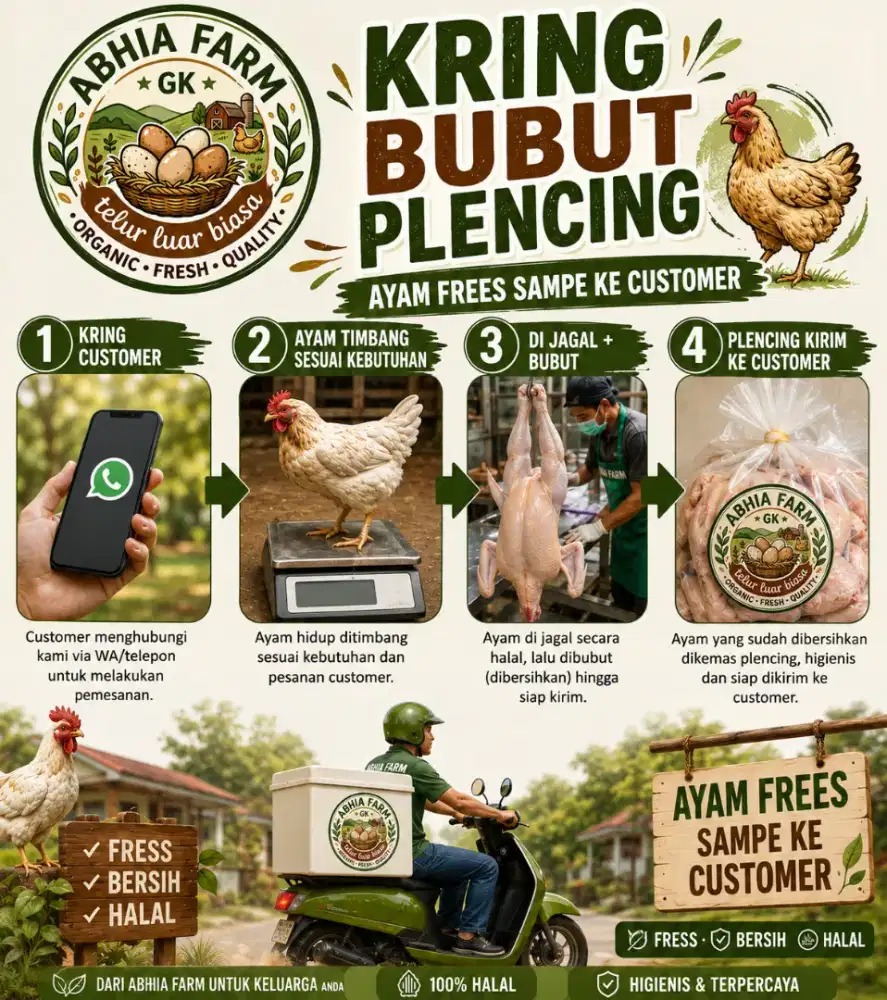JUAL AYAM KAMPUNG DAN TELUR AYAM KAMPUNG