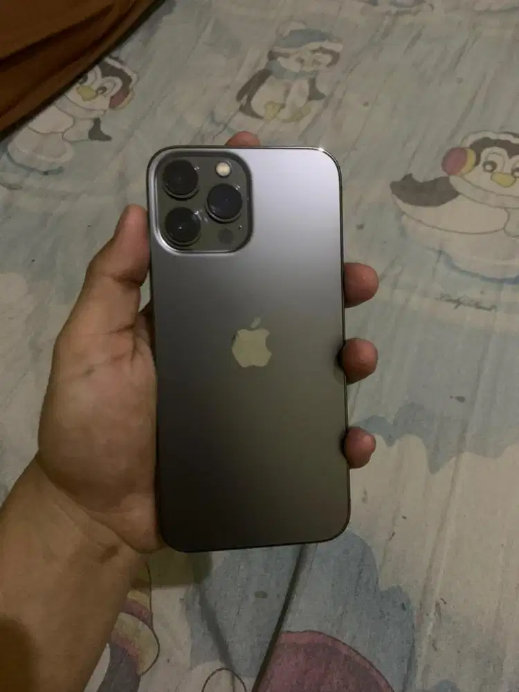 iphone 13 promax 256 inter