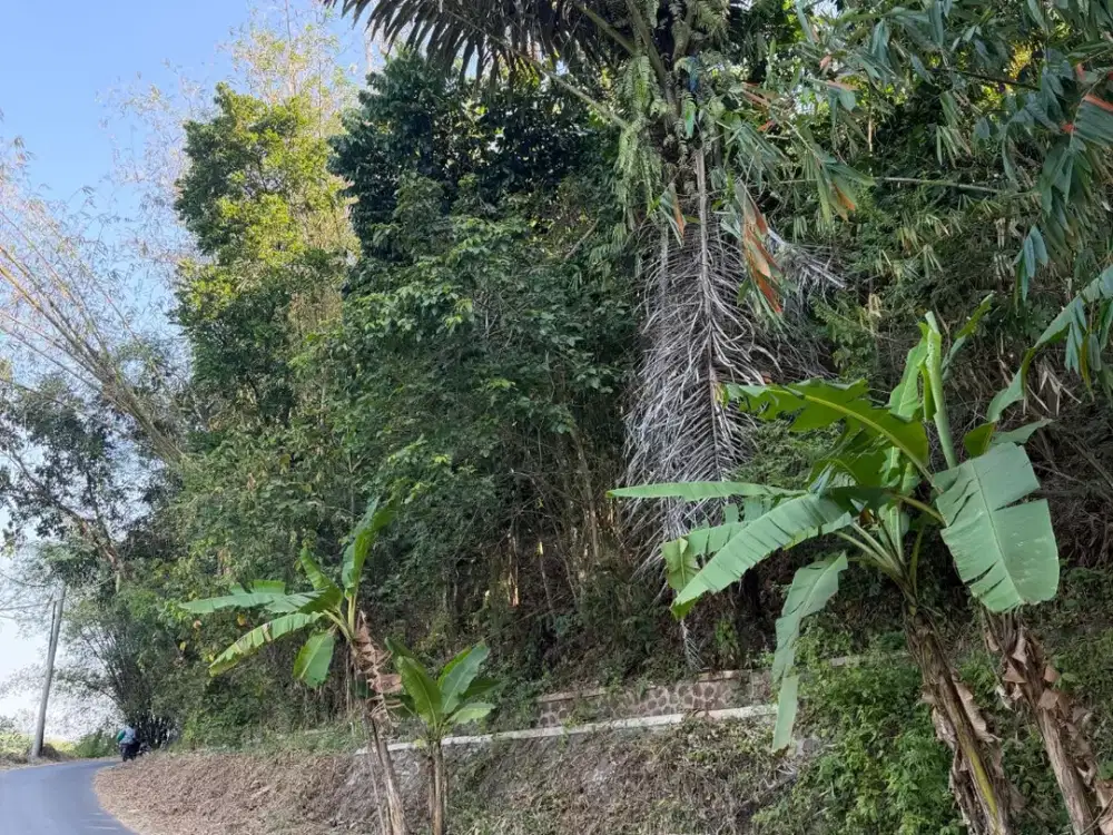 Dijual Tanah Luas 7.220 m² SHM Pinggir Jalan di Situraja, Sumedang