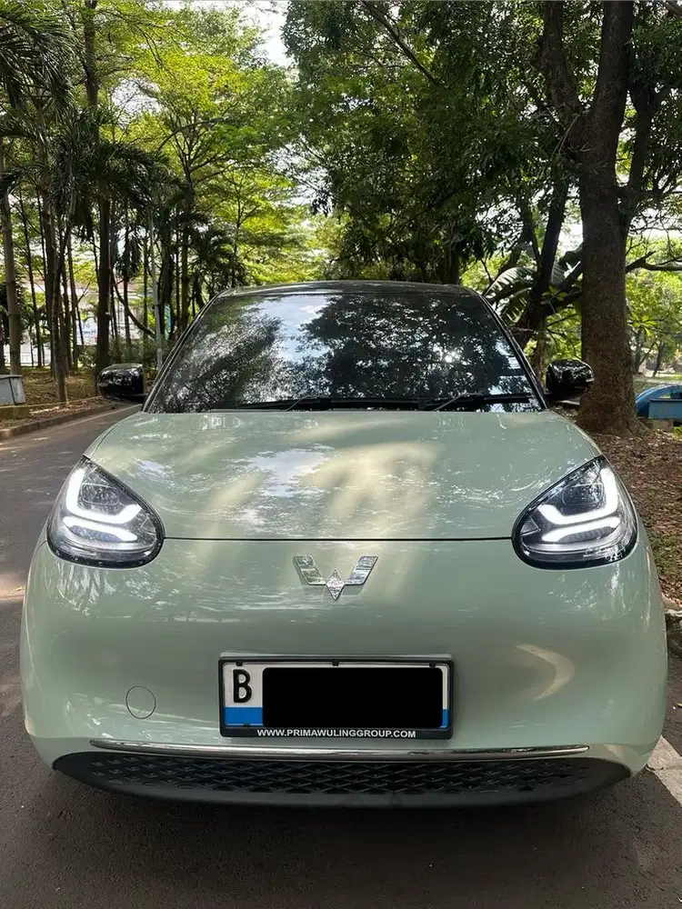 Wuling Binguo Cash 2024 Long Range