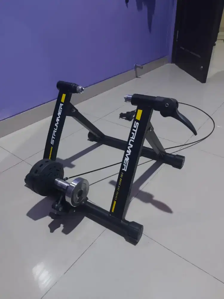 trainer strummer