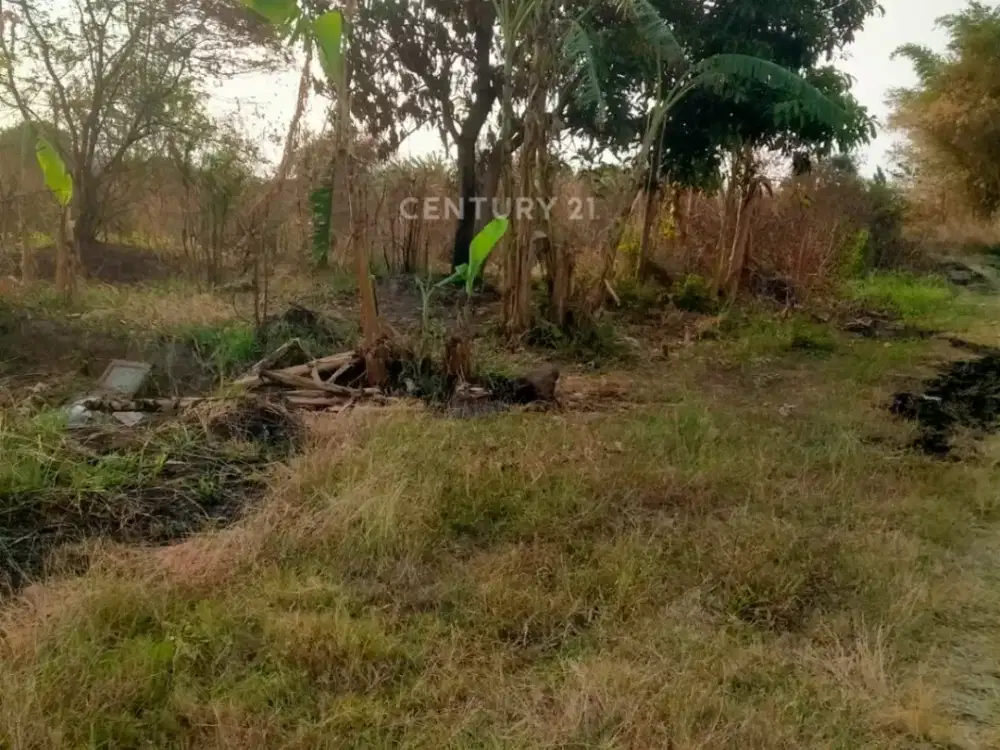 Dijual Lahan Zonna Industri Masuk Kontainer 40 Feet Majalengka