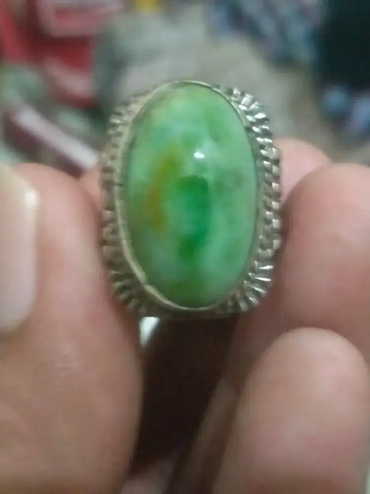 Di jual garut cikolak
