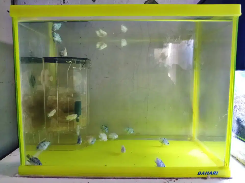 Aquarium akrilik bahari