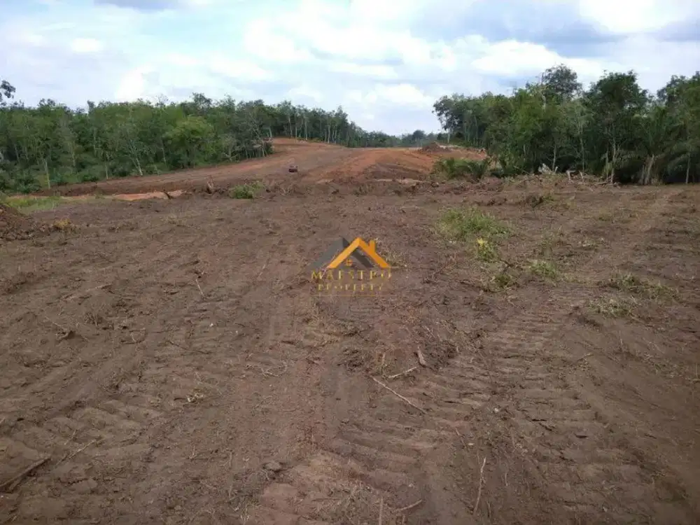 Dijual Lahan Pengembangan Desa Koto Tinggi Kabupaten Rokan Hulu - Riau