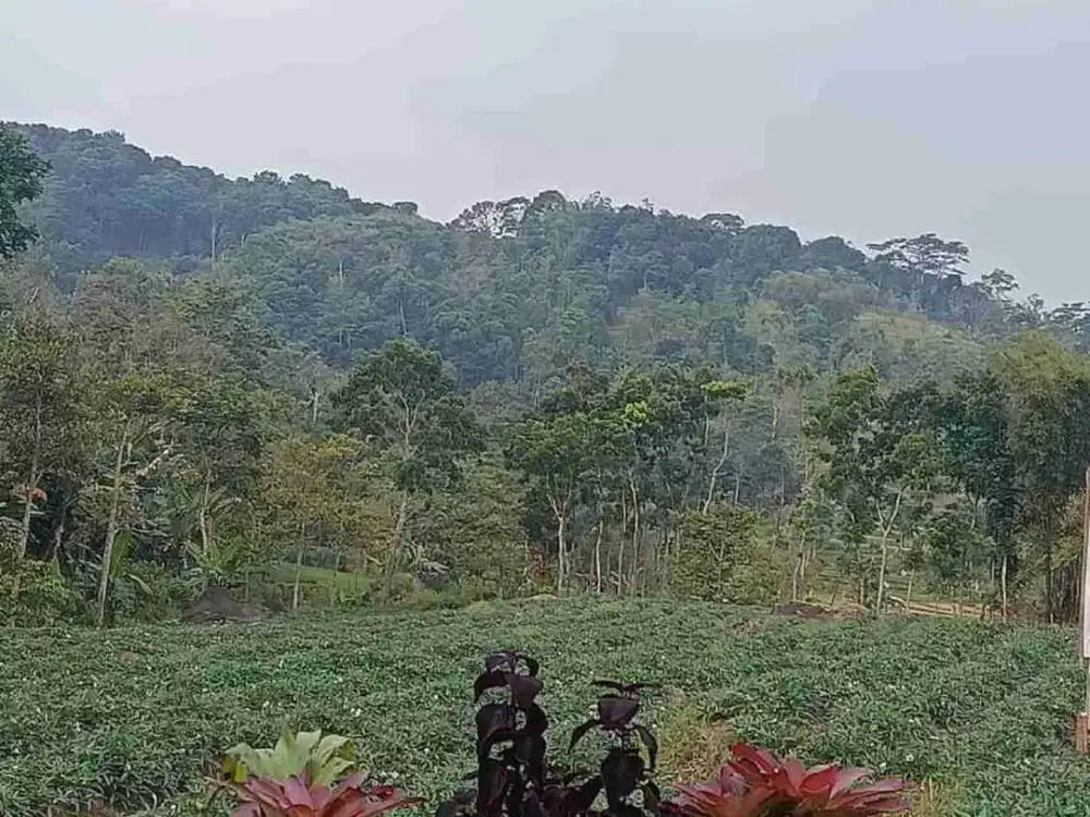 Tanah di Trawas , Mojokerto