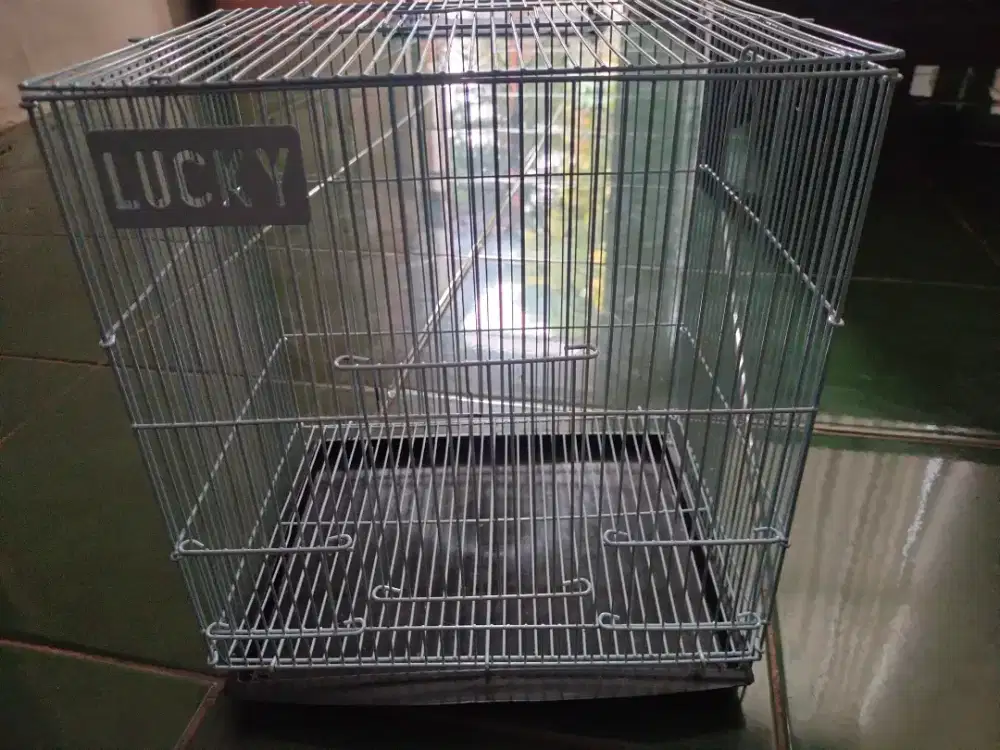 Kandang sugar glider