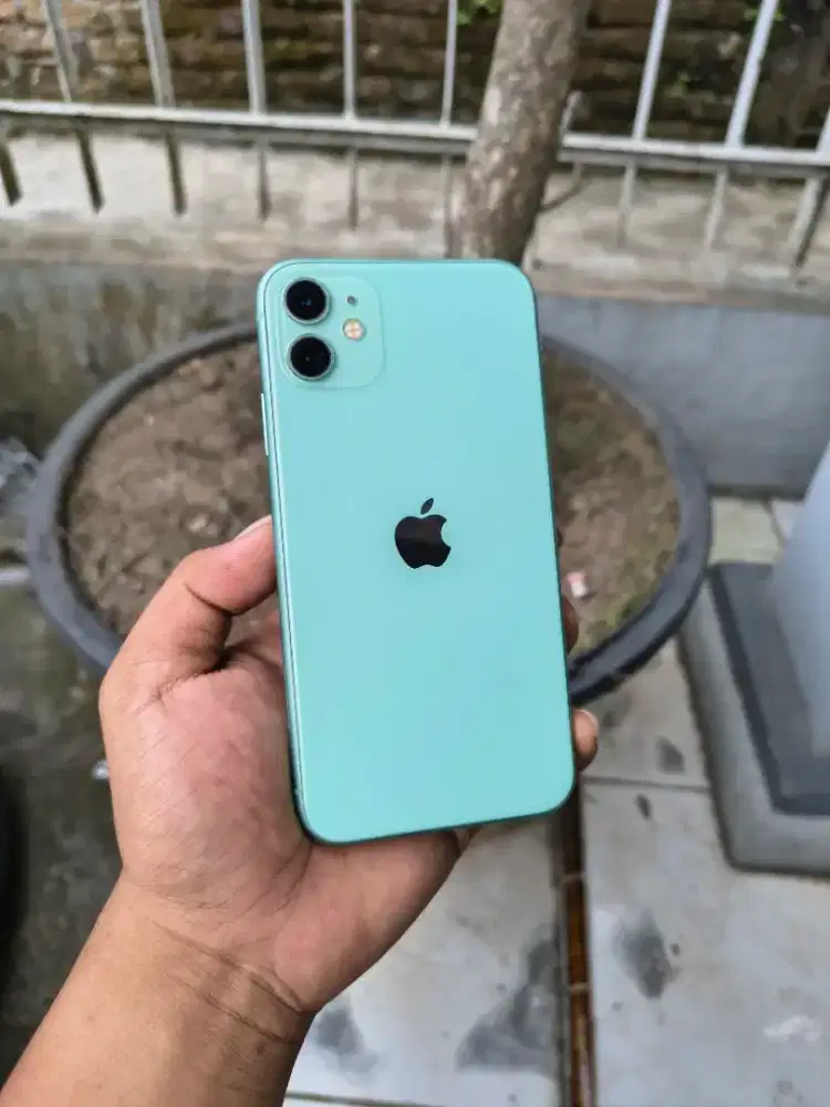 iPhone 11 (64 GB) Inter