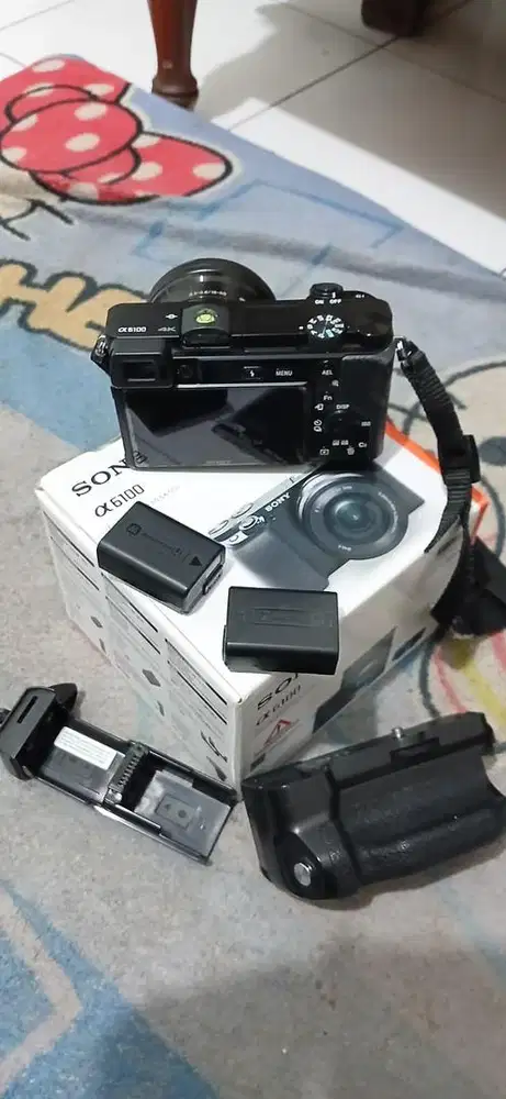 Kamera Sony A6100