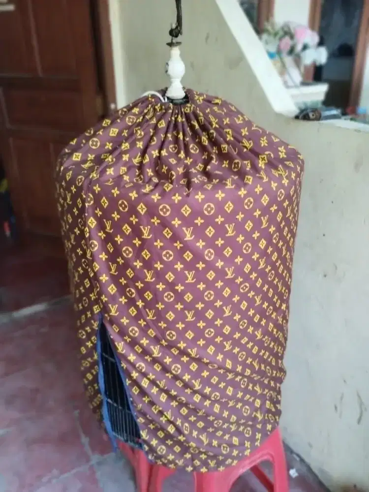 Kandang murai no3