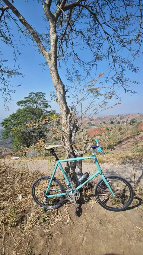 Minivelo Bianchi lepre