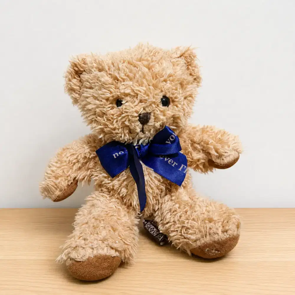 Boneka Teddy Bear Everland Resort Korea Preloved