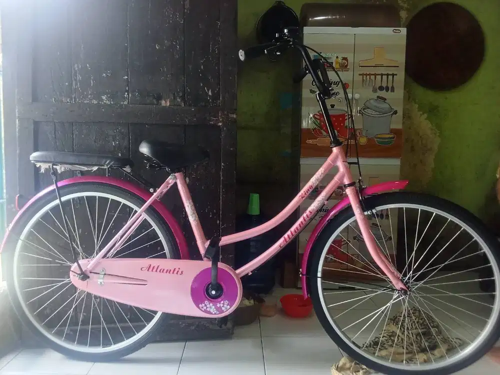 sepeda dewasa 26 inc