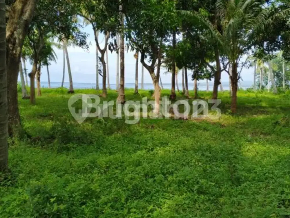 Tanah murah 64 are di Pinggir Pantai Lombok