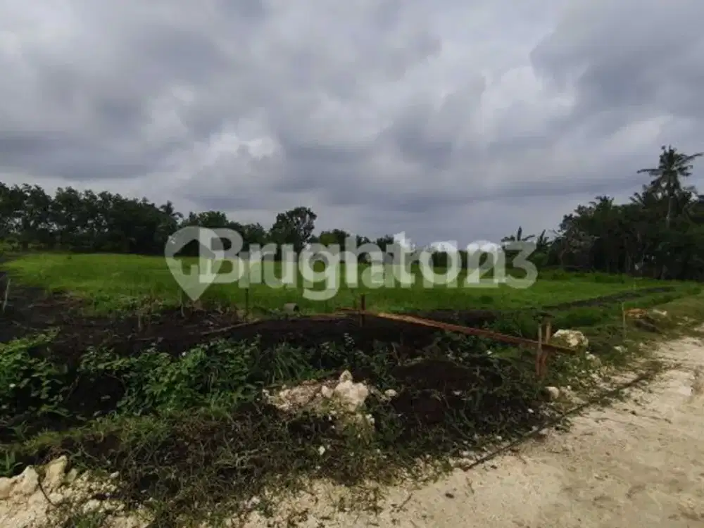 Tanah Kavling Super Cantik View Sawah dan Pantai di Belong, Tabanan