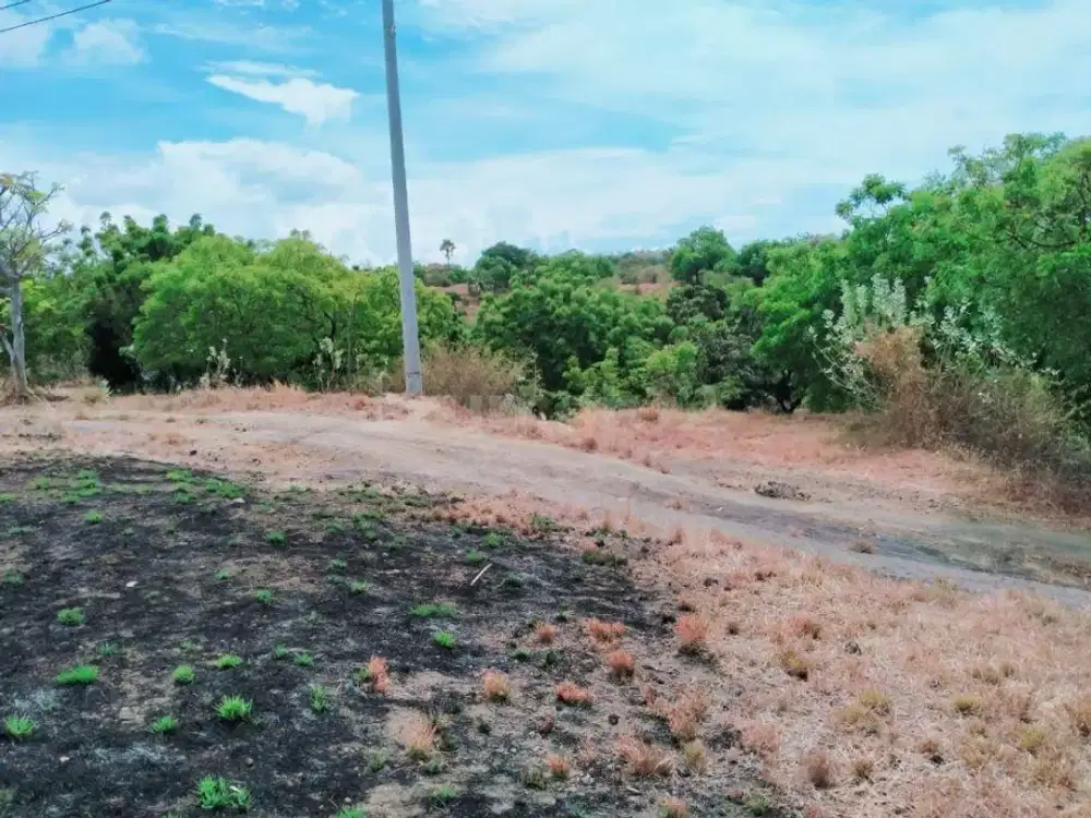 Tanah Tegalan 50 Are Murah Di Kubu Tambahan
