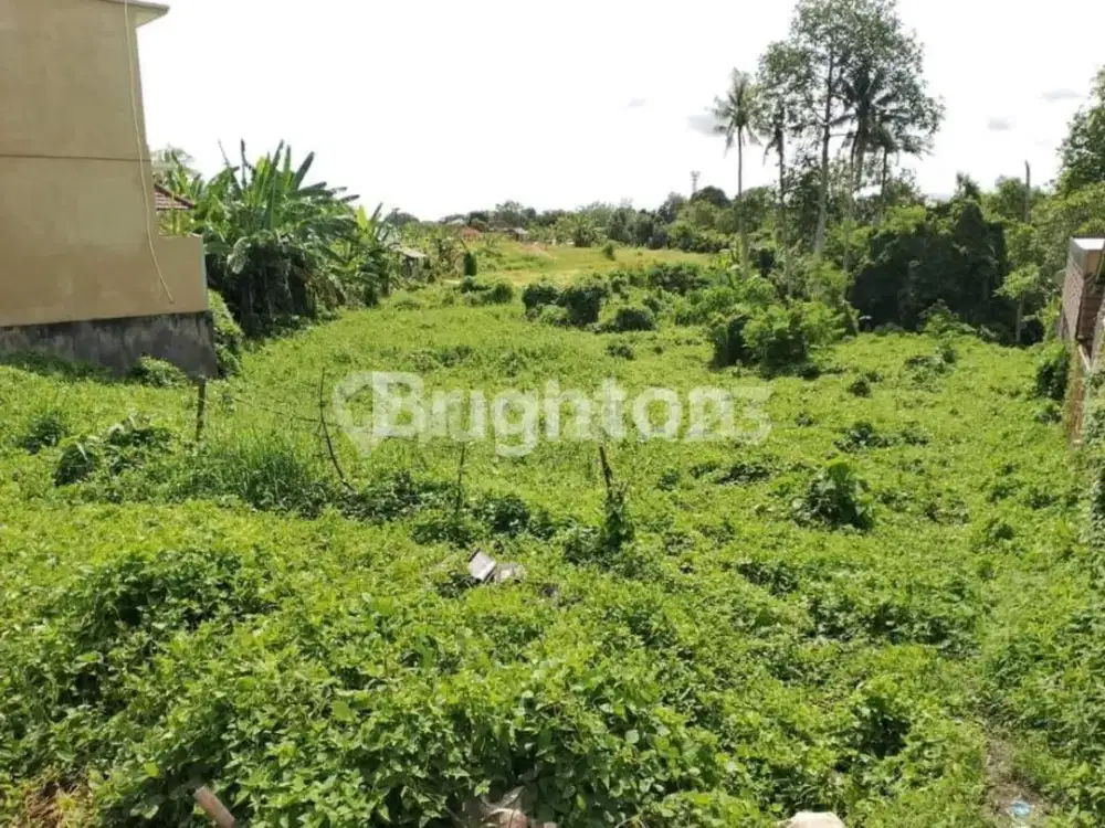 Tanah Luas Dan Langka Dengan Kontur Terrasering di Dalung, Canggu