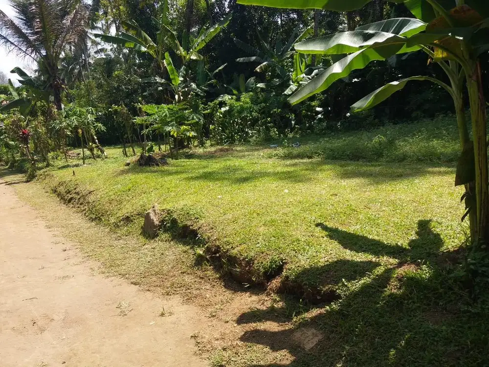 Dijual Tanah Petang, Badung