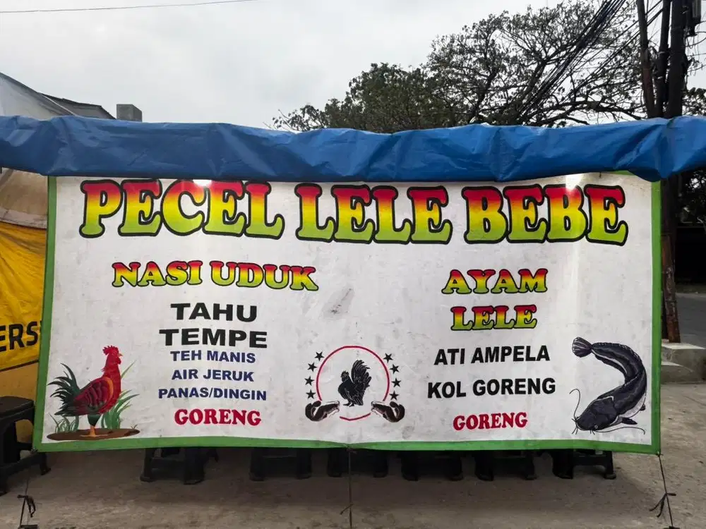 Jual cepat Usaha Pecel lele siap jualan ! Over Usaha Pecel lele murah