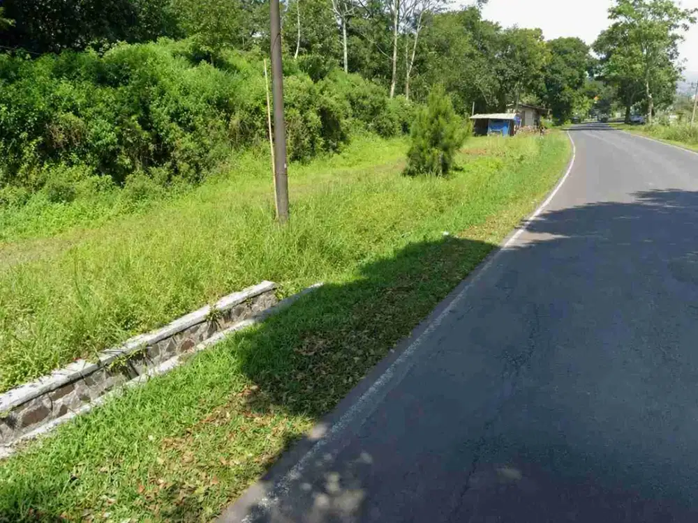 Tanah strategis pinggir Jl. Raya Ciater Subang
