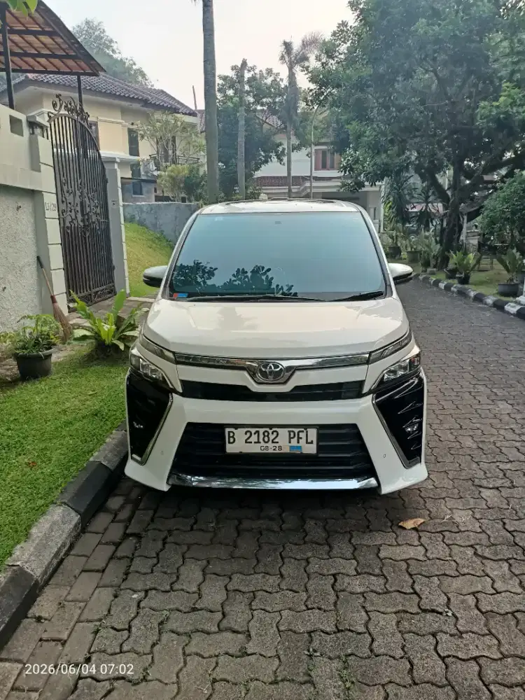 toyota voxy tgn1