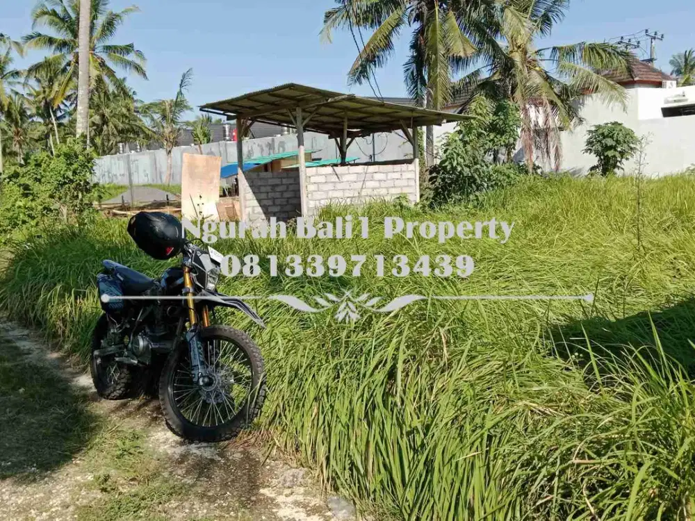 Tanah Dijual Murah Luas 5 Are Kawasan Villa di Lodtunduh Ubud