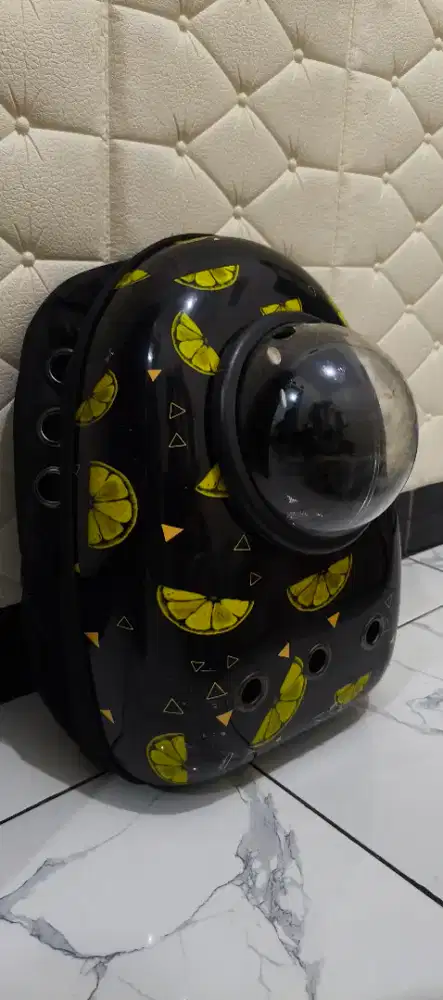 TAS KUCING MODEL GENDONG