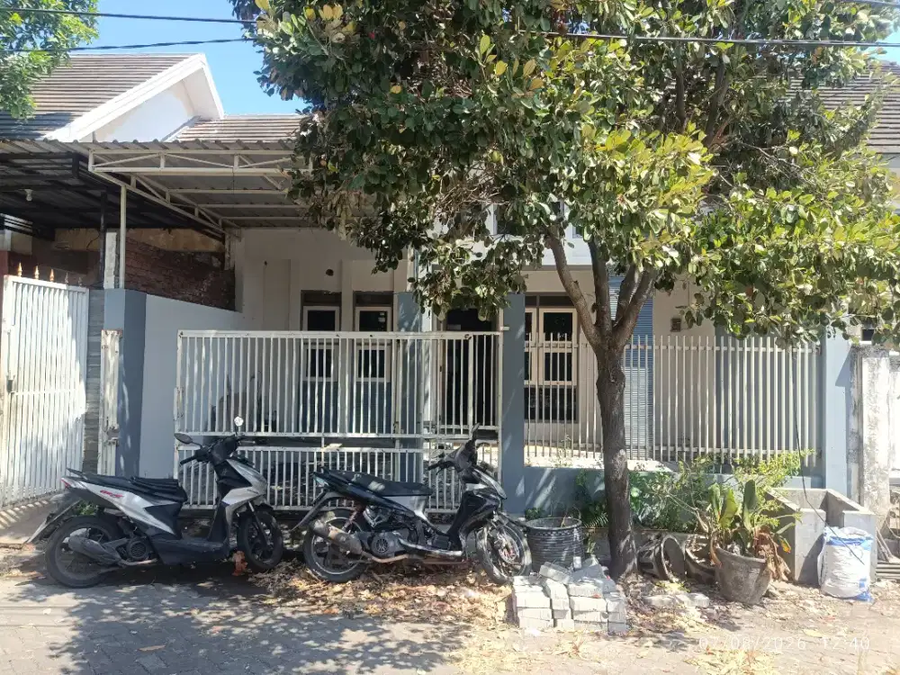 Rumah Disewakan Dikontrakan