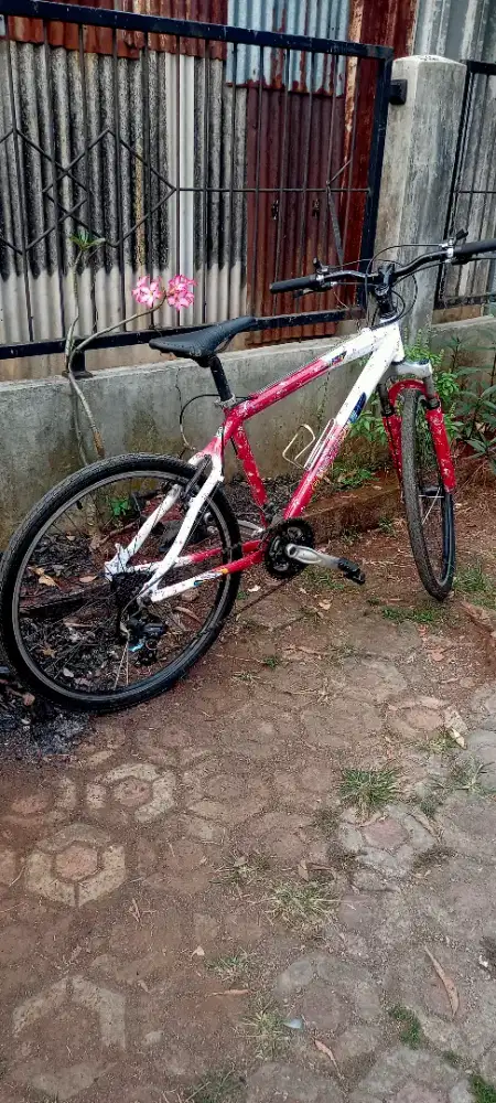 Sepeda wimcycle 26