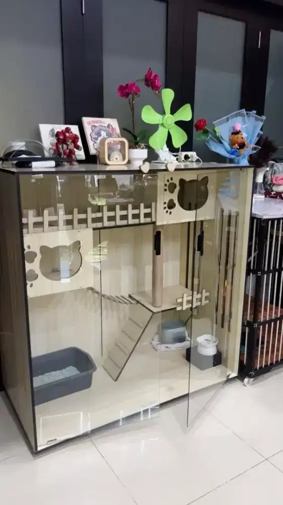 Kandang kucing peliharaan