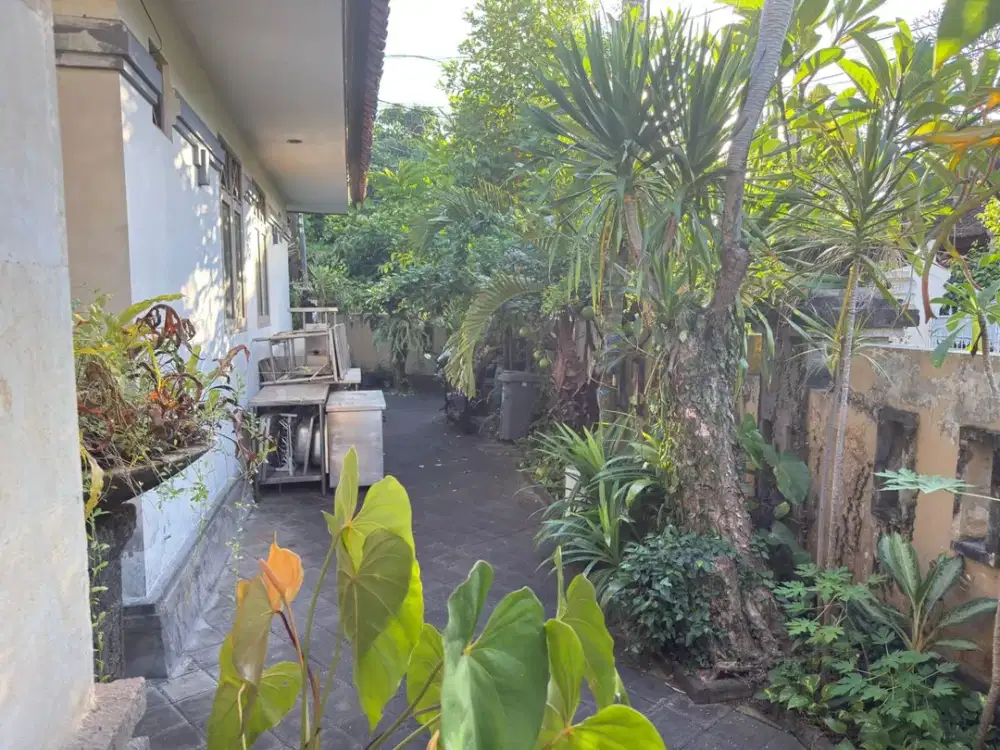 RUMAH MINIMALIS BANGUANAN KOKOH BANGUS HOOK 7BR KAWASAN RENON