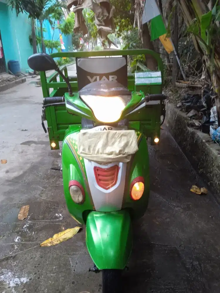 Viar karya bit V10R