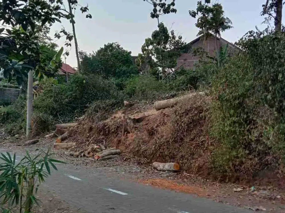 tanah murah cocok untuk investasi di patemon gunungpati