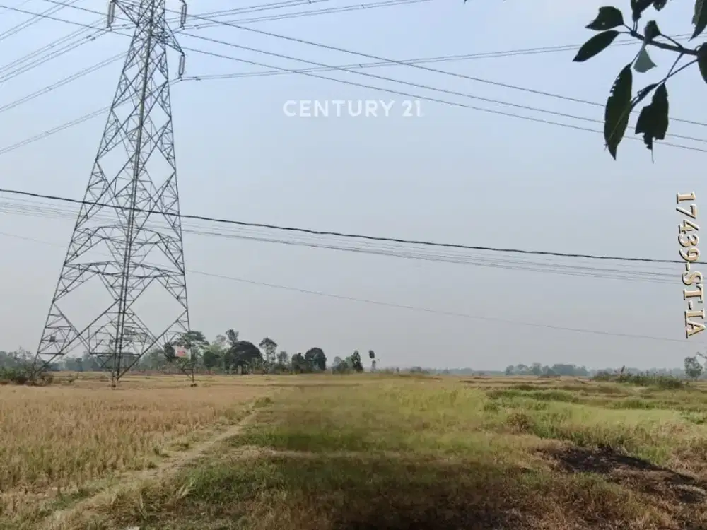 Dijual Kavling Area Dekat Villa Pamarayan Serang
