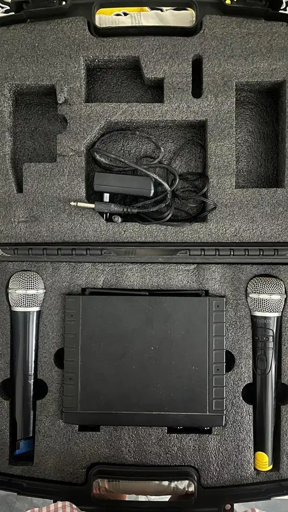 Mic Wireless Wisdom WD 223
