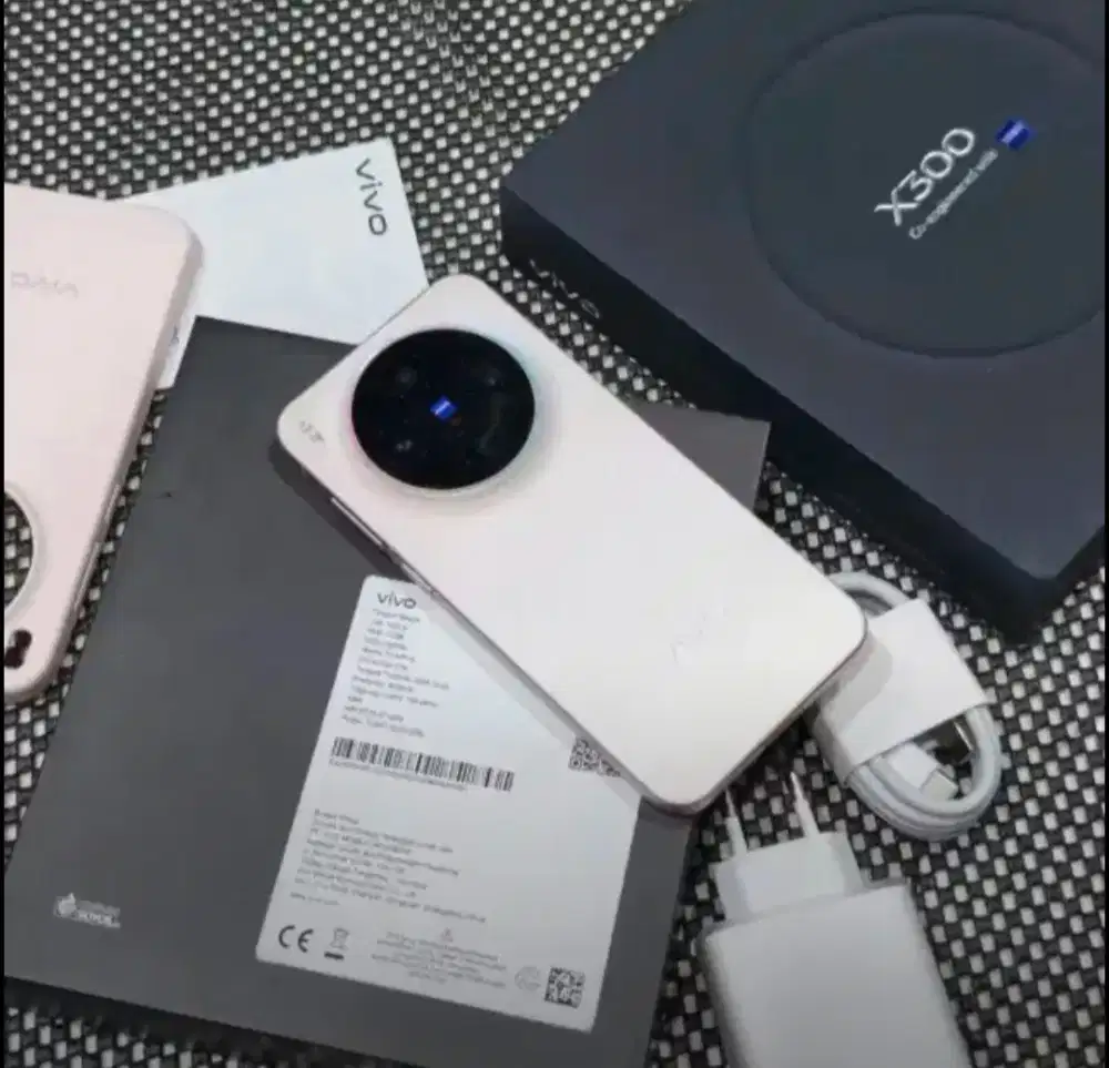 Vivo x300 basic