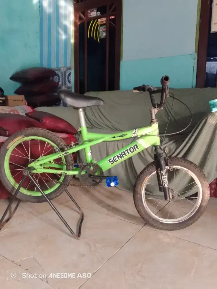 Bmx R 16 senator
