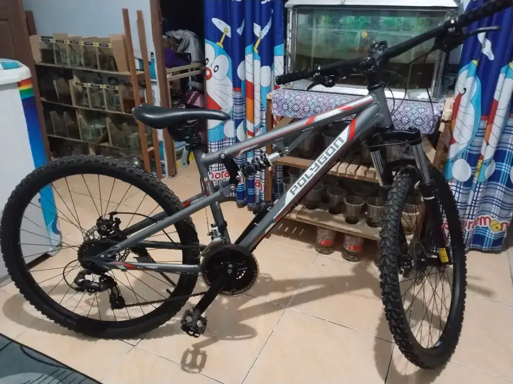 Sepeda polygon ray z 2