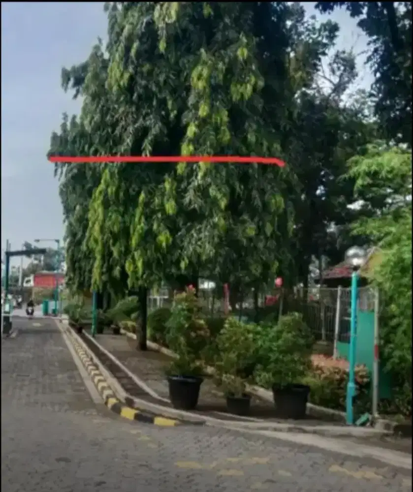 Jasa tebang pohon dan potong rumput